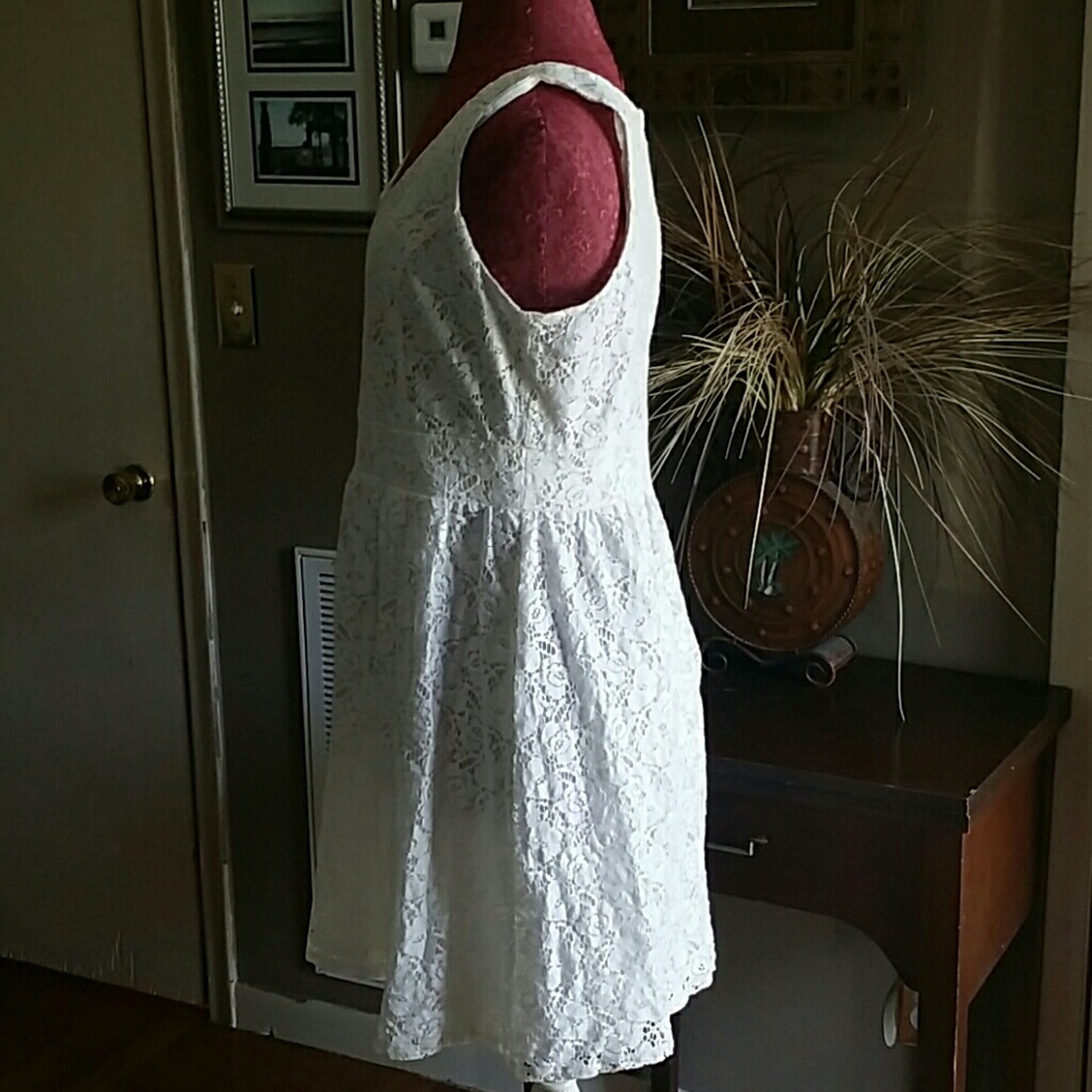 Loft lace dress - Picture 5 of 6